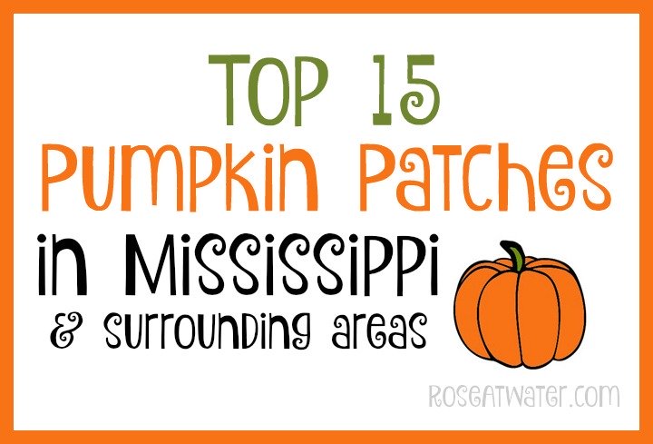 Top 15 Pumpkin Patches of Mississippi (and surrounding areas)